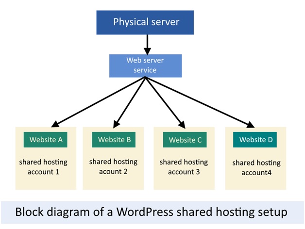 Different Hosting Types Come with a Big Difference