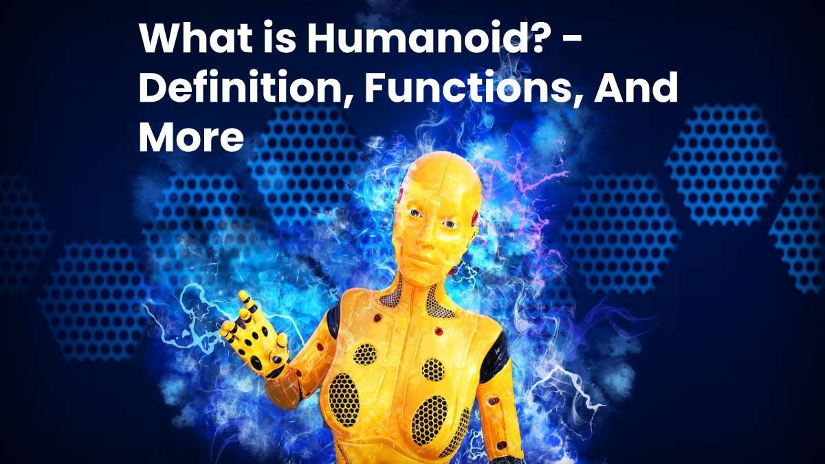 What is Humanoid? – Definition, Functions, And More (2023)