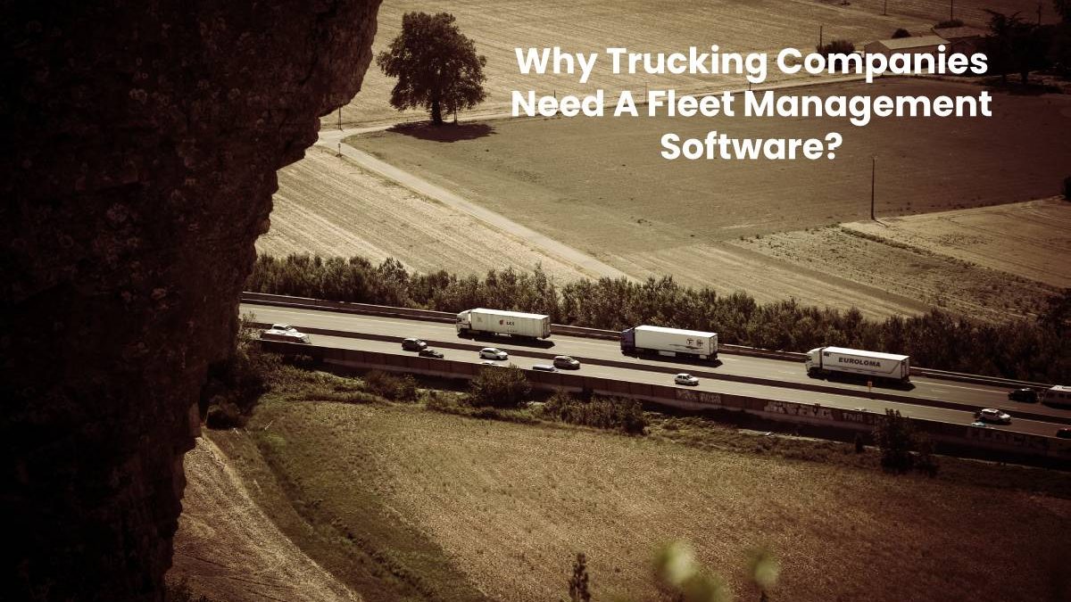 Why Trucking Companies Need A Fleet Management Software?